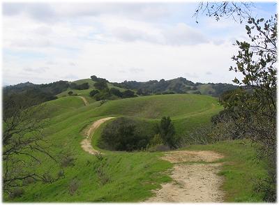 Lafayette Ridge Trail, Briones Regional Park